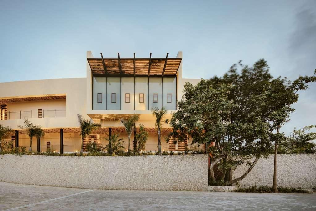 La Casa De La Playa - Fun Inclusive 4* Los Dos Compadres